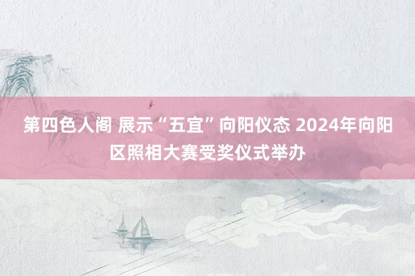 第四色人阁 展示“五宜”向阳仪态 2024年向阳区照相大赛受奖仪式举办