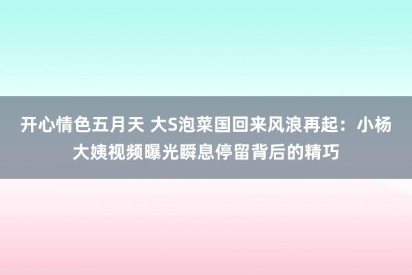 开心情色五月天 大S泡菜国回来风浪再起：小杨大姨视频曝光瞬息停留背后的精巧