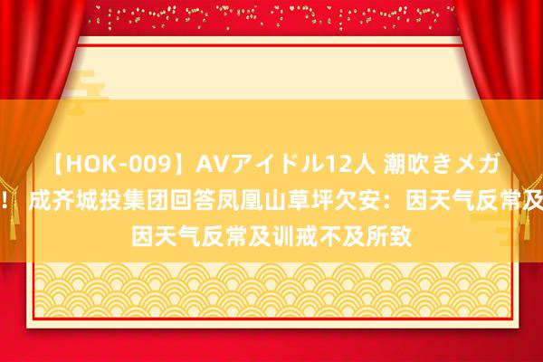 【HOK-009】AVアイドル12人 潮吹きメガファック！！！ 成齐城投集团回答凤凰山草坪欠安：因天气反常及训戒不及所致