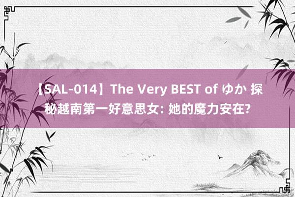 【SAL-014】The Very BEST of ゆか 探秘越南第一好意思女: 她的魔力安在?