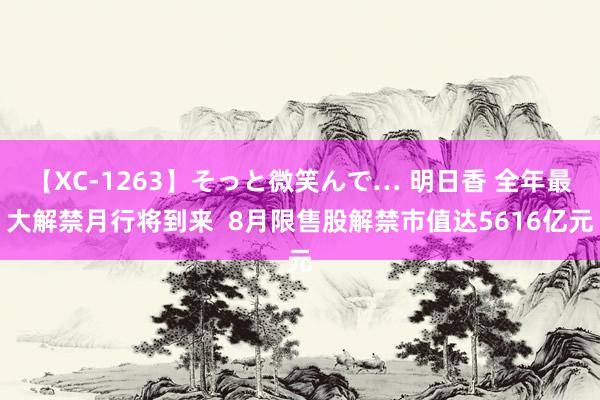 【XC-1263】そっと微笑んで… 明日香 全年最大解禁月行将到来  8月限售股解禁市值达5616亿元