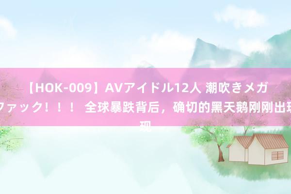 【HOK-009】AVアイドル12人 潮吹きメガファック！！！ 全球暴跌背后，确切的黑天鹅刚刚出现