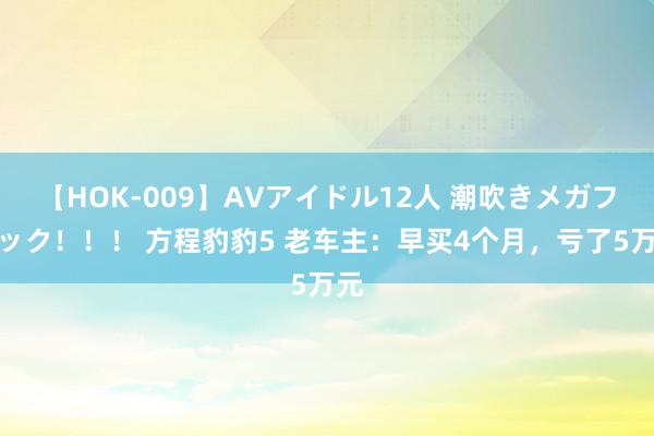 【HOK-009】AVアイドル12人 潮吹きメガファック！！！ 方程豹豹5 老车主：早买4个月，亏了5万元