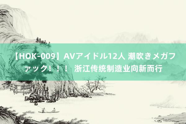 【HOK-009】AVアイドル12人 潮吹きメガファック！！！ 浙江传统制造业向新而行