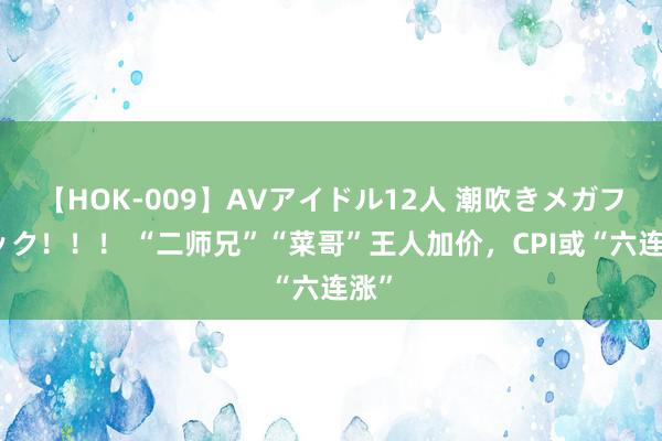 【HOK-009】AVアイドル12人 潮吹きメガファック！！！ “二师兄”“菜哥”王人加价，CPI或“六连涨”