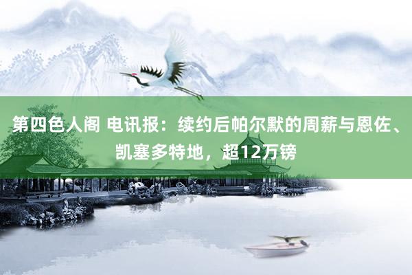 第四色人阁 电讯报：续约后帕尔默的周薪与恩佐、凯塞多特地，超12万镑