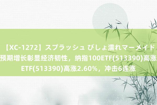 【XC-1272】スプラッシュ びしょ濡れマーメイド 明日香 零卖数据超预期增长彰显经济韧性，纳指100ETF(513390)高涨2.60%，冲击6连涨