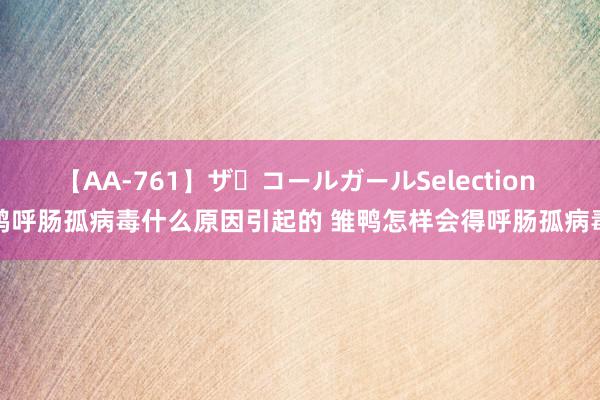 【AA-761】ザ・コールガールSelection 鸭呼肠孤病毒什么原因引起的 雏鸭怎样会得呼肠孤病毒