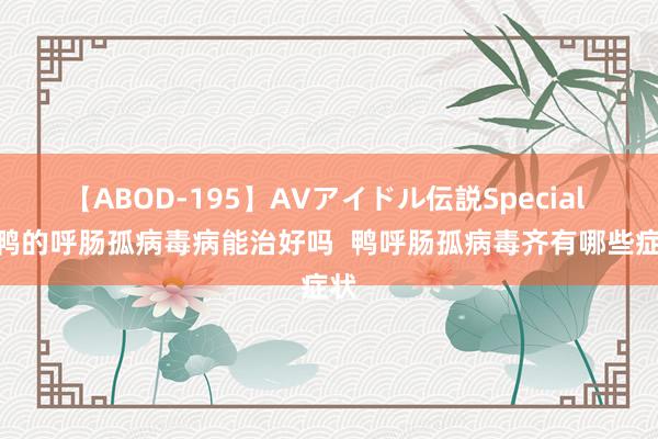 【ABOD-195】AVアイドル伝説Special 4 鸭的呼肠孤病毒病能治好吗  鸭呼肠孤病毒齐有哪些症状