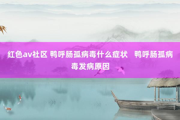 红色av社区 鸭呼肠孤病毒什么症状   鸭呼肠孤病毒发病原因