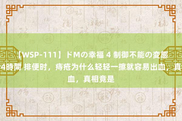 【WSP-111】ドMの幸福 4 制御不能の変態ボディ4時間 排便时，痔疮为什么轻轻一擦就容易出血，真相竟是