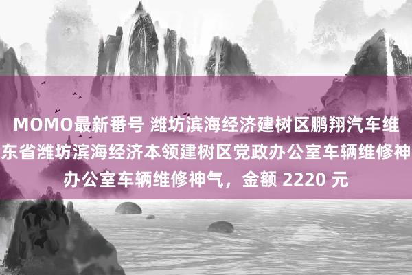 MOMO最新番号 潍坊滨海经济建树区鹏翔汽车维修有限公司成交山东省潍坊滨海经济本领建树区党政办公室车辆维修神气，金额 2220 元