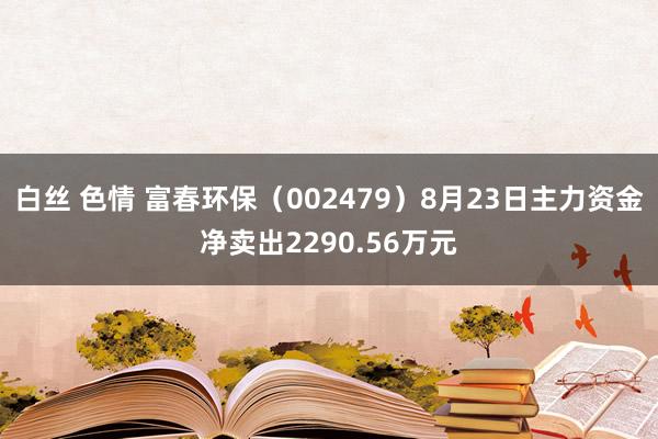 白丝 色情 富春环保（002479）8月23日主力资金净卖出2290.56万元