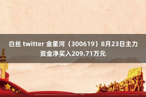 白丝 twitter 金星河（300619）8月23日主力资金净买入209.71万元