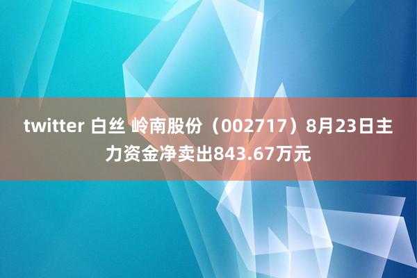 twitter 白丝 岭南股份（002717）8月23日主力资金净卖出843.67万元