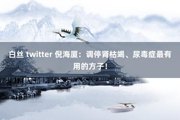 白丝 twitter 倪海厦：调停肾枯竭、尿毒症最有用的方子！